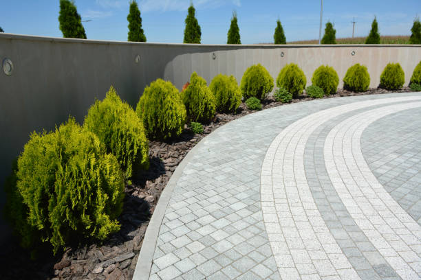 Best Driveway Pavers Near Me  in Lake Crystal, MN